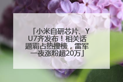 小米自研芯片、YU7齐发布！相关话题霸占热搜榜，雷军一夜涨粉超20万