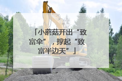 小蘑菇开出“致富伞”，撑起“致富半边天”