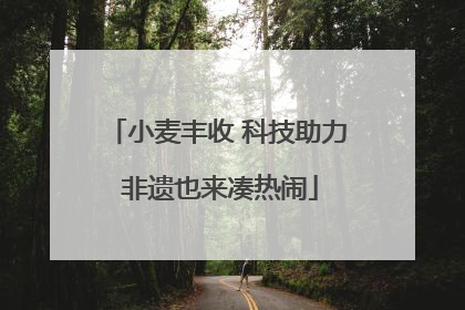 小麦丰收 科技助力 非遗也来凑热闹