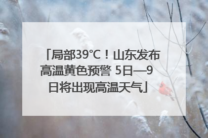 局部39℃！山东发布高温黄色预警 5日—9日将出现高温天气