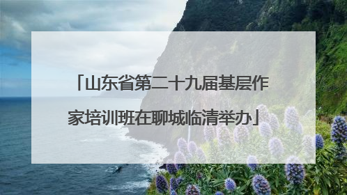 山东省第二十九届基层作家培训班在聊城临清举办