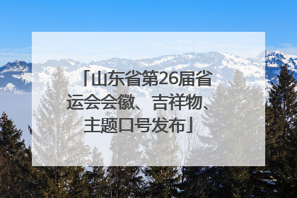 山东省第26届省运会会徽、吉祥物、主题口号发布