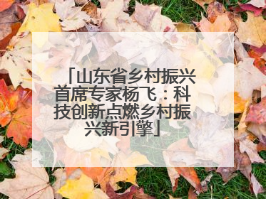 山东省乡村振兴首席专家杨飞：科技创新点燃乡村振兴新引擎