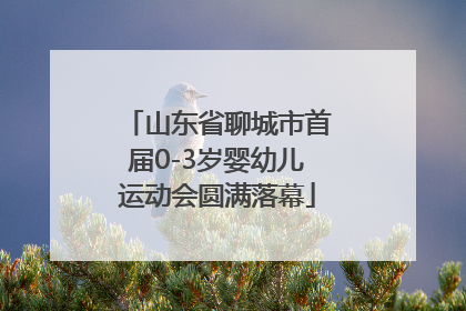 山东省聊城市首届0-3岁婴幼儿运动会圆满落幕
