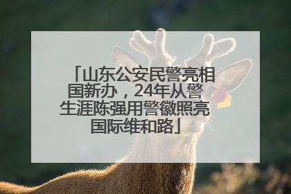 山东公安民警亮相国新办，24年从警生涯陈强用警徽照亮国际维和路