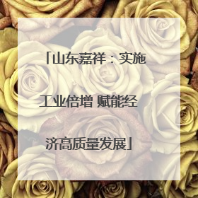 山东嘉祥：实施工业倍增 赋能经济高质量发展