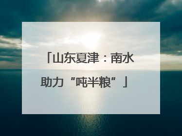 山东夏津：南水助力“吨半粮”