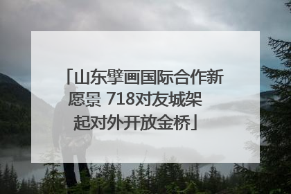 山东擘画国际合作新愿景 718对友城架起对外开放金桥