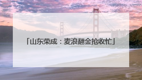 山东荣成：麦浪翻金抢收忙