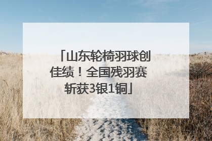 山东轮椅羽球创佳绩！全国残羽赛斩获3银1铜