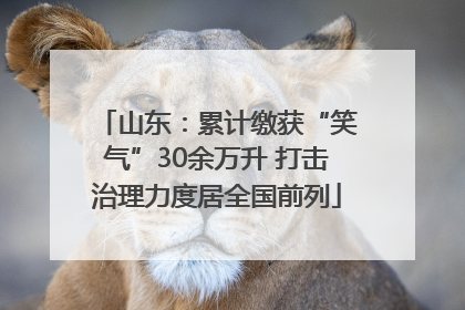 山东:累计缴获“笑气”30余万升 打击治理力度居全国前列