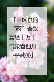 山区县的“药”香致富经丨万千气象看四川·平武③