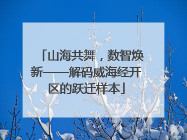 山海共舞，数智焕新——解码威海经开区的跃迁样本
