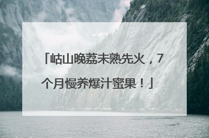 岵山晚荔未熟先火，7个月慢养爆汁蜜果！