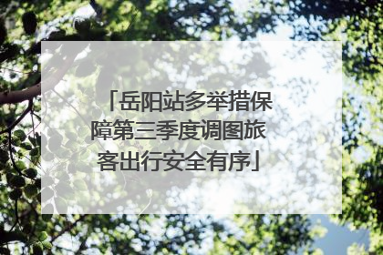 岳阳站多举措保障第三季度调图旅客出行安全有序