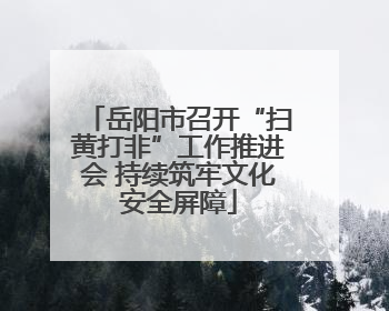 岳阳市召开“扫黄打非”工作推进会 持续筑牢文化安全屏障