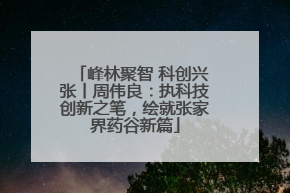 峰林聚智 科创兴张丨周伟良：执科技创新之笔，绘就张家界药谷新篇