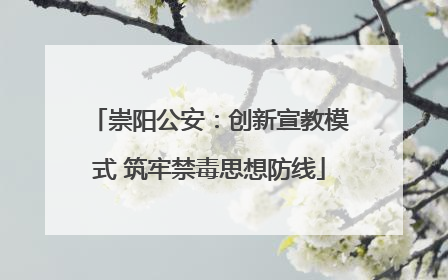 崇阳公安：创新宣教模式 筑牢禁毒思想防线