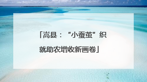 嵩县：“小蚕茧”织就助农增收新画卷