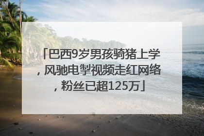 巴西9岁男孩骑猪上学，风驰电掣视频走红网络，粉丝已超125万
