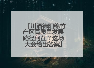川酒德阳绵竹产区高质量发展路径何在？这场大会给出答案