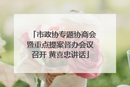 市政协专题协商会暨重点提案督办会议召开 黄喜忠讲话