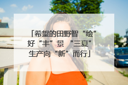 希望的田野智“绘”好“丰”景 “三夏”生产向“新”而行