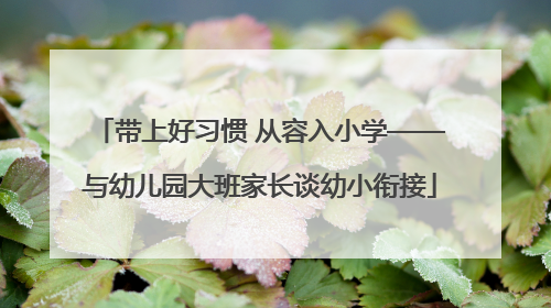 带上好习惯 从容入小学——与幼儿园大班家长谈幼小衔接