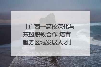 广西一高校深化与东盟职教合作 培育服务区域发展人才