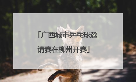 广西城市乒乓球邀请赛在柳州开赛