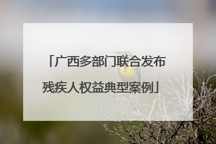 广西多部门联合发布残疾人权益典型案例