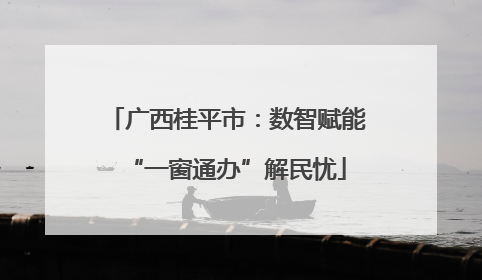 广西桂平市：数智赋能“一窗通办”解民忧
