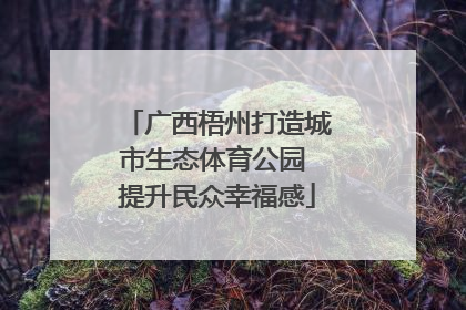 广西梧州打造城市生态体育公园 提升民众幸福感