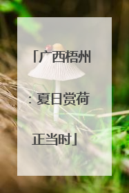 广西梧州：夏日赏荷正当时
