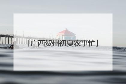 广西贺州初夏农事忙