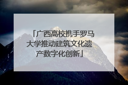 广西高校携手罗马大学推动建筑文化遗产数字化创新