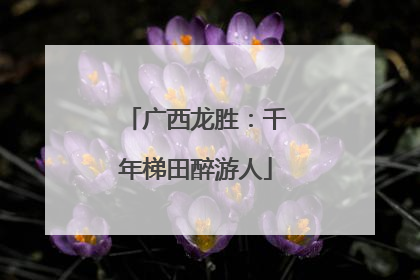广西龙胜：千年梯田醉游人