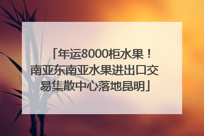 年运8000柜水果！南亚东南亚水果进出口交易集散中心落地昆明