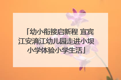 幼小衔接启新程 宜宾江安淯江幼儿园走进小坝小学体验小学生活