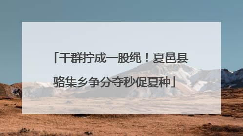 干群拧成一股绳！夏邑县骆集乡争分夺秒促夏种