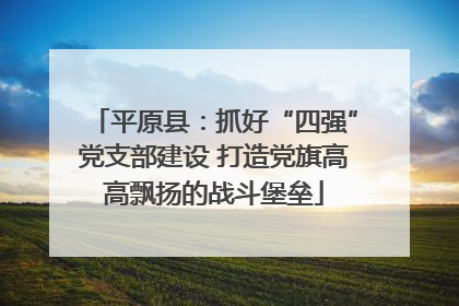 平原县：抓好“四强”党支部建设 打造党旗高高飘扬的战斗堡垒