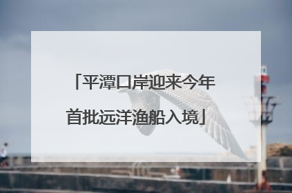 平潭口岸迎来今年首批远洋渔船入境