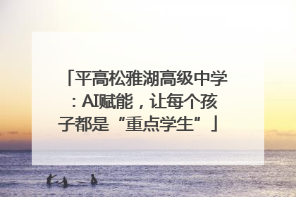 平高松雅湖高级中学：AI赋能，让每个孩子都是“重点学生”