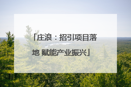 庄浪：招引项目落地 赋能产业振兴