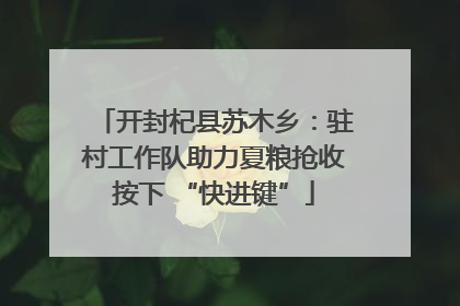 开封杞县苏木乡：驻村工作队助力夏粮抢收按下 “快进键”