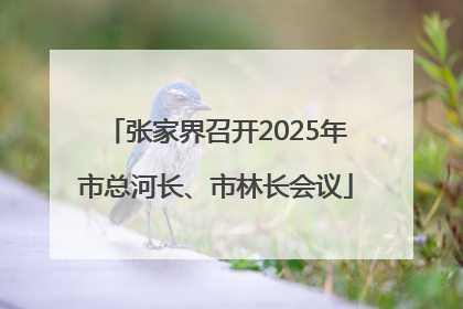 张家界召开2025年市总河长、市林长会议