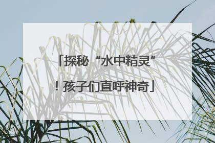 探秘“水中精灵”！孩子们直呼神奇