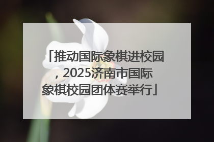 推动国际象棋进校园，2025济南市国际象棋校园团体赛举行