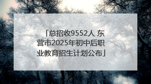 总招收9552人 东营市2025年初中后职业教育招生计划公布