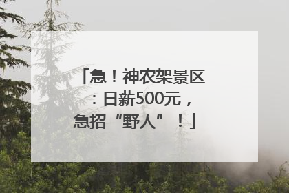 急！神农架景区：日薪500元，急招“野人”！